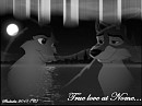 True love at Nome B/W