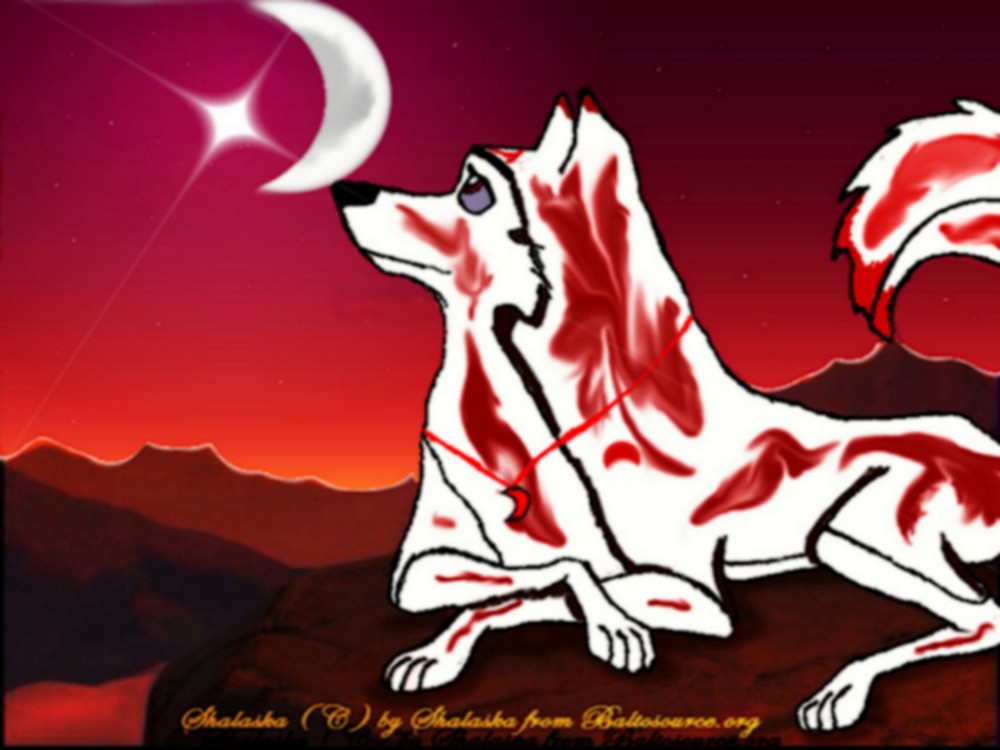 Shalaska wallpapaer 2011