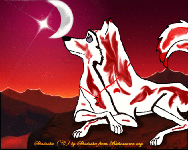 Shalaska wallpapaer 2011 animated