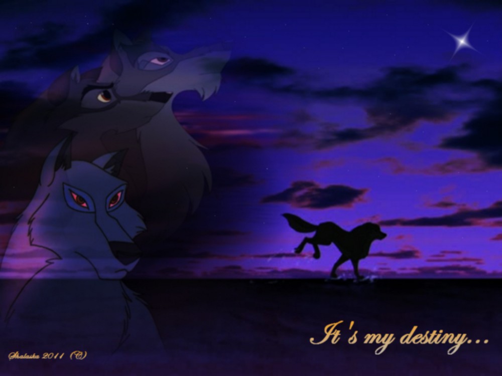 It's my destiny
