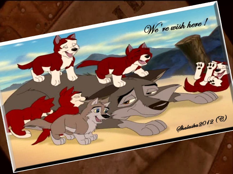 Carte postale : We're wish here !
