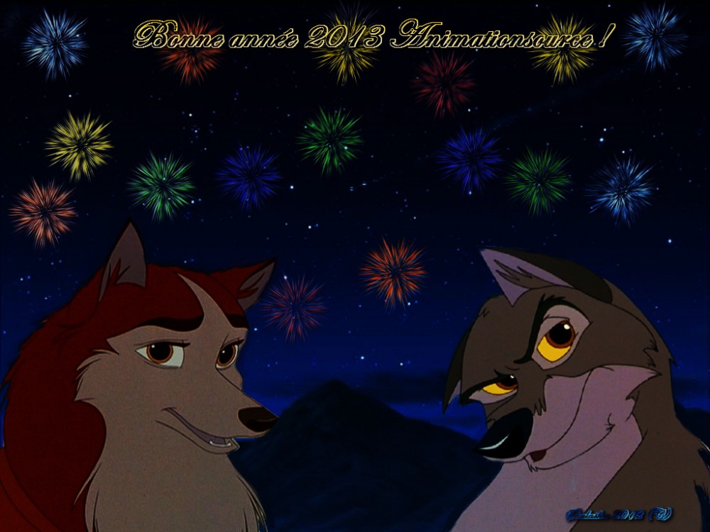 Bonne année 2013 Animations source !