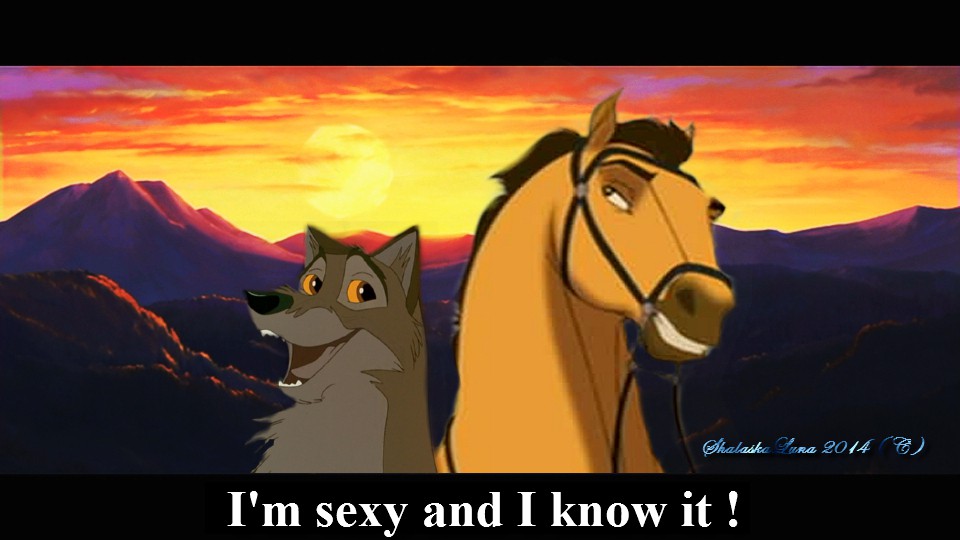 I'm sexy and I know it 