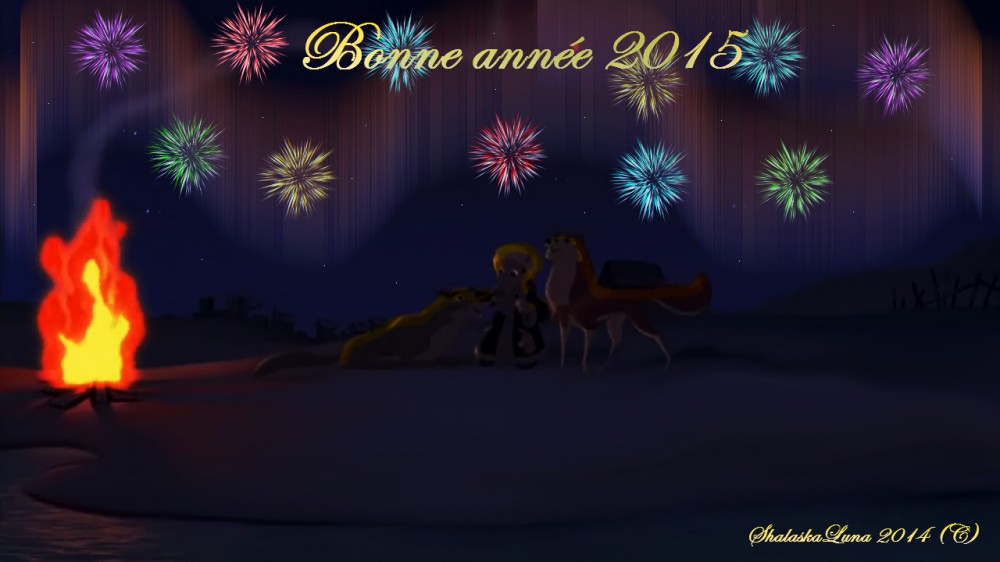 Bonne année 2015 !