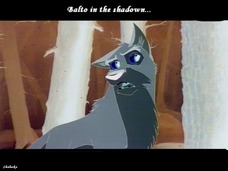 Balto in the shadown