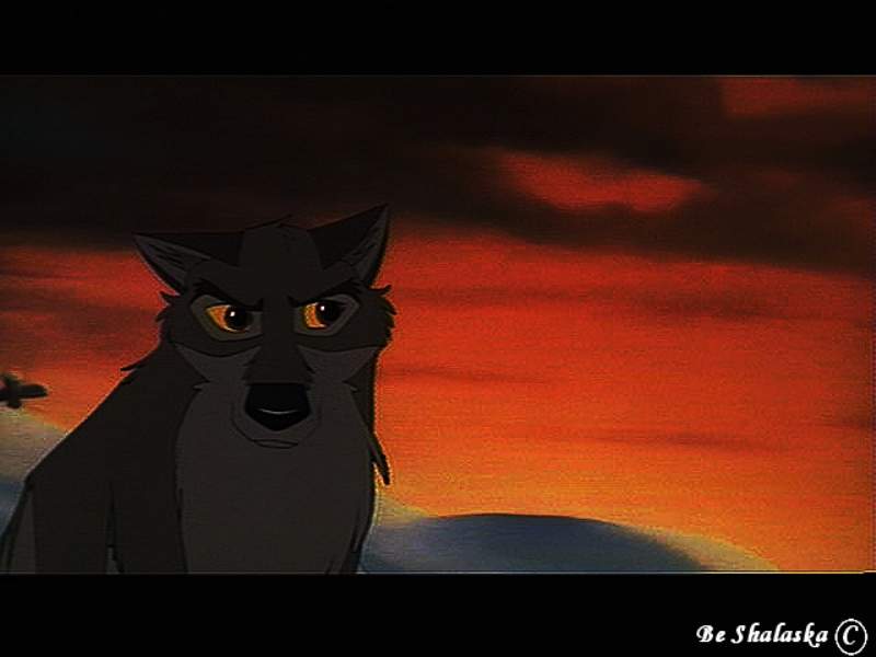Balto sunset
