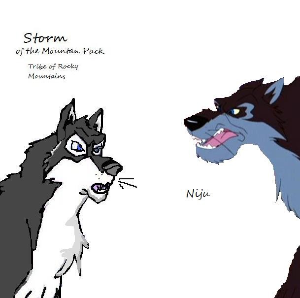 Storm VS. Niju