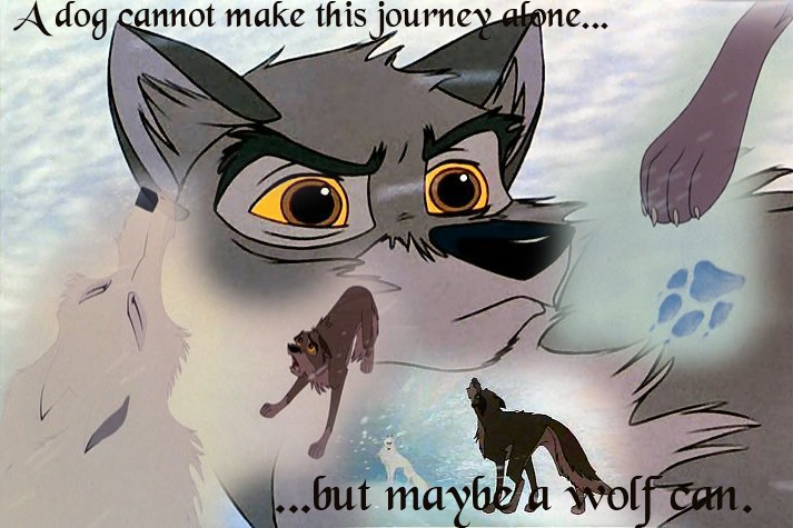 ...but myabe a wolf can