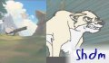 shdm