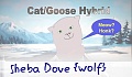 ShebaDove {wolf}