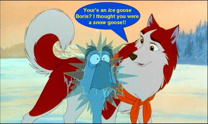 Ice goose!!!