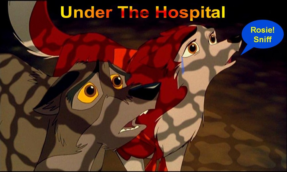 Under The Hospital