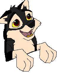Ken Pup