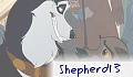 shepherd13
