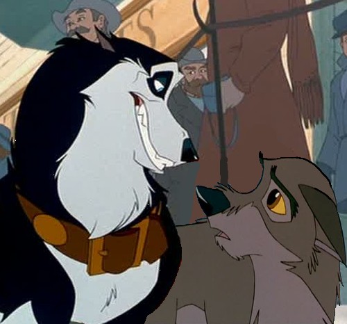 Hello, little wolf!