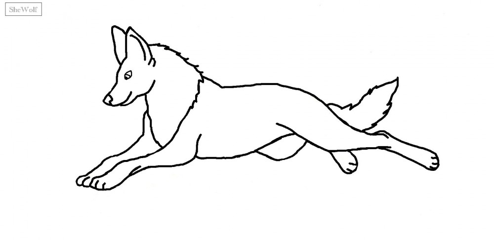 Lineart