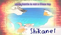shikane1