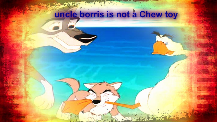 uncle borris is not a chew toy 