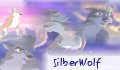 SilberWolf