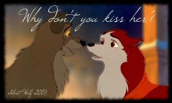 Why don't you