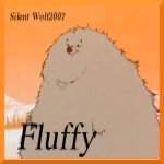 Fluffy bear