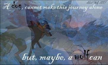 dog cannot wolf can
