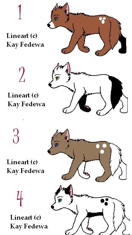 Pups For Adoption
