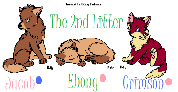 The Second Litter: My Half