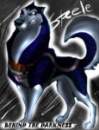 Steele Avatar