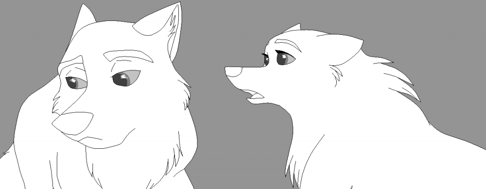 Blank 10