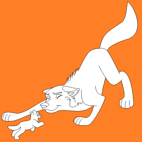 Blank 11