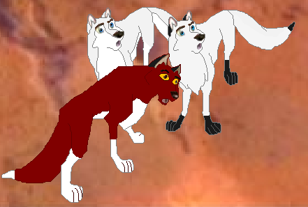 Silver, Rose, and Auroa