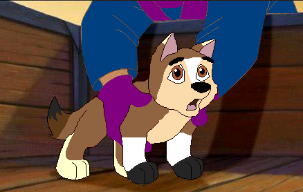 Random Pup
