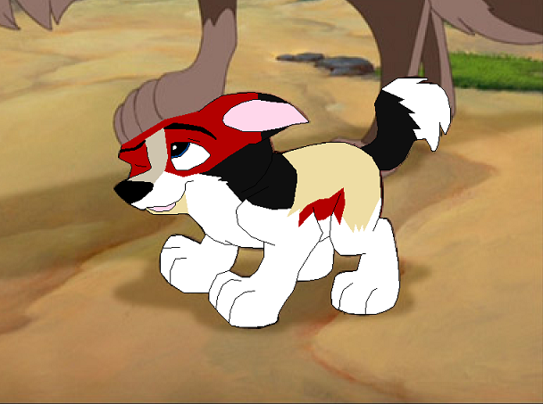 Gift For Iditarod