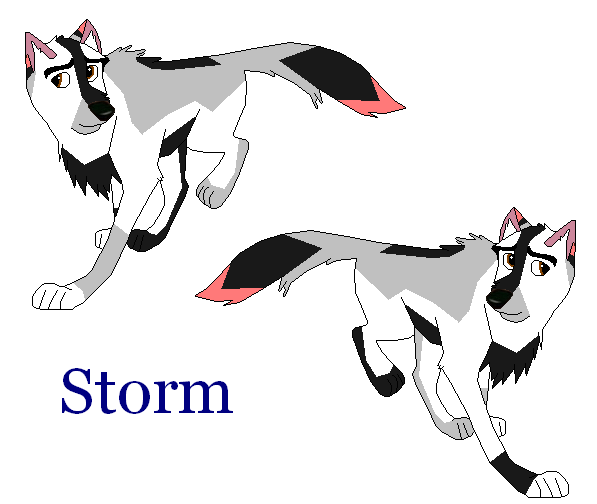 Storm