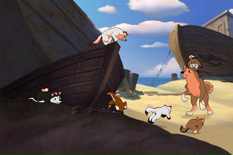 Dandy and pups