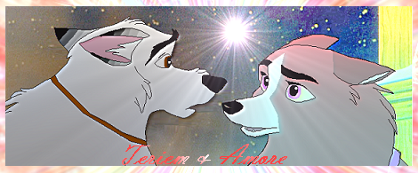 Teriem and Amore Sig
