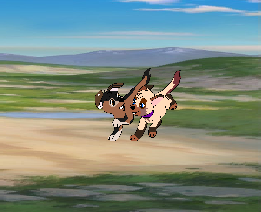 Field Run