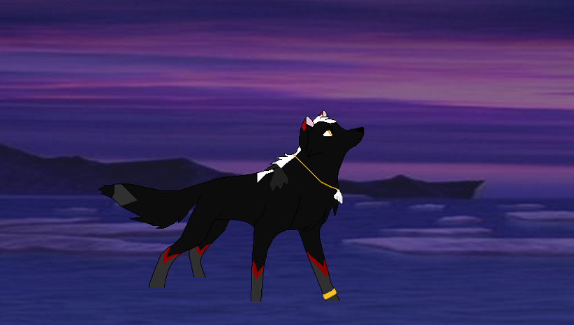 Night Falls