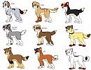 Fan-O-Pups batch 1