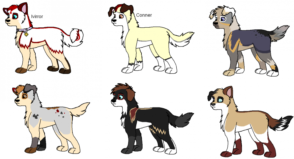Fan-O-Pups batch 2