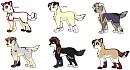 Fan-O-Pups batch 2