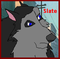 Slate avatar