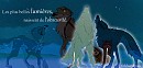 Les plus belles lumières... - Balto, White Wolf