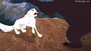 In danger - Aniu