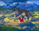 Balto fond rocher