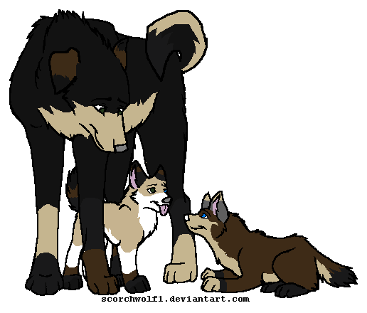 Puppies