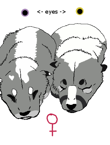 Elettra and Elnora *Ouka and Amarog Pups*