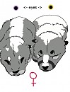 Elettra and Elnora *Ouka and Amarog Pups*