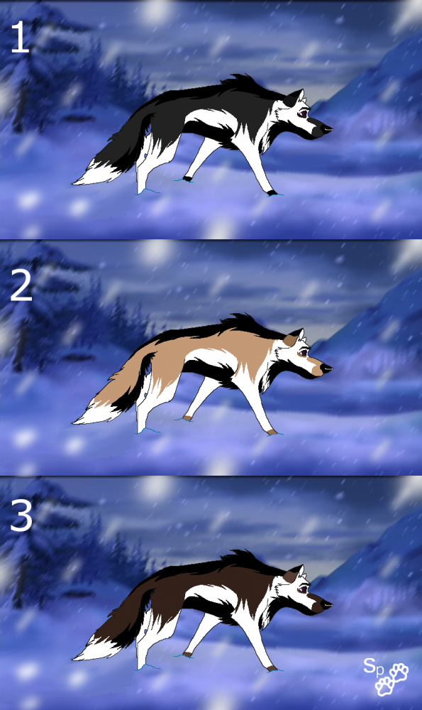 Which One?